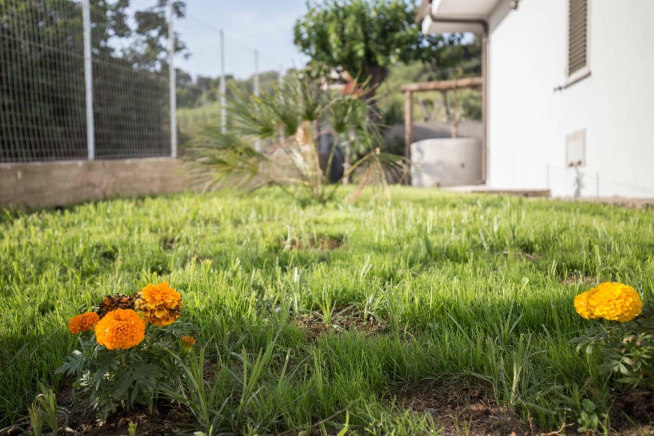 קאפו ואטיצ'אנו Villa Alice מראה חיצוני תמונה